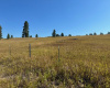 151 Barkley Ridge Trl, Kalispell, Montana 59901, ,Land,For Sale,Barkley Ridge Trl,1055
